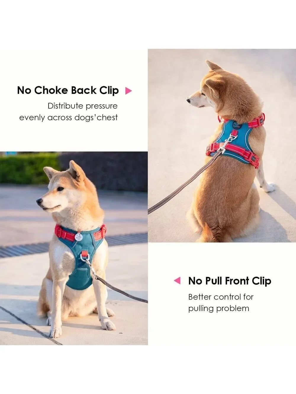 PHOEPET XS Dog Harness with Red Adjustable Straps and Teal Mesh Padding